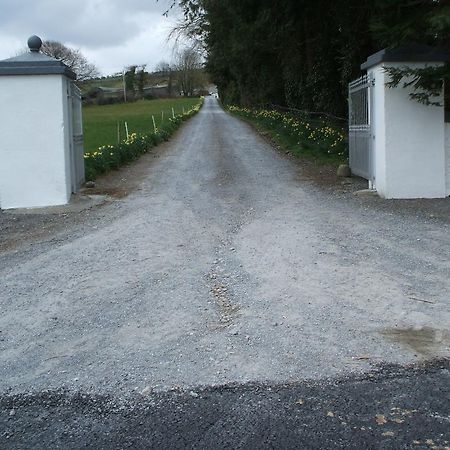 Grove Farm House Inistioge Luaran gambar